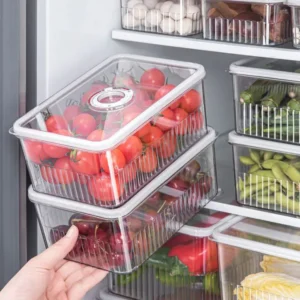 Read more about the article Plastic Fridge Food Storage Container