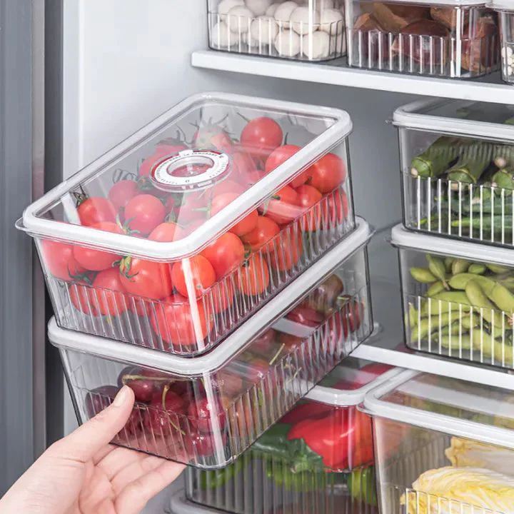 You are currently viewing Plastic Fridge Food Storage Container
